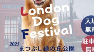 6/22 ロンドンドッグフェスティバル