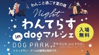 8/3 ナイトわんてらす in DOG PARK RUN and POOL