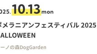 10/13 ポメラニアンフェスティバル2025ハロウィーン