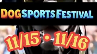 11/16 DOG SPORTS FESTIVAL （わんスポ）
