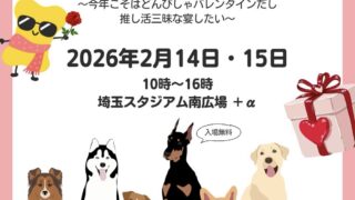 2/14-15 わんこのフェス