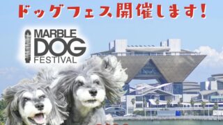 1/30-2/1 マーブルドッグフェスティバル
