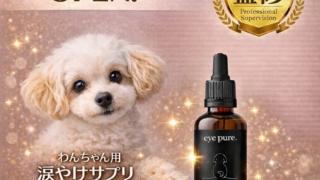 公式ECサイトオープン