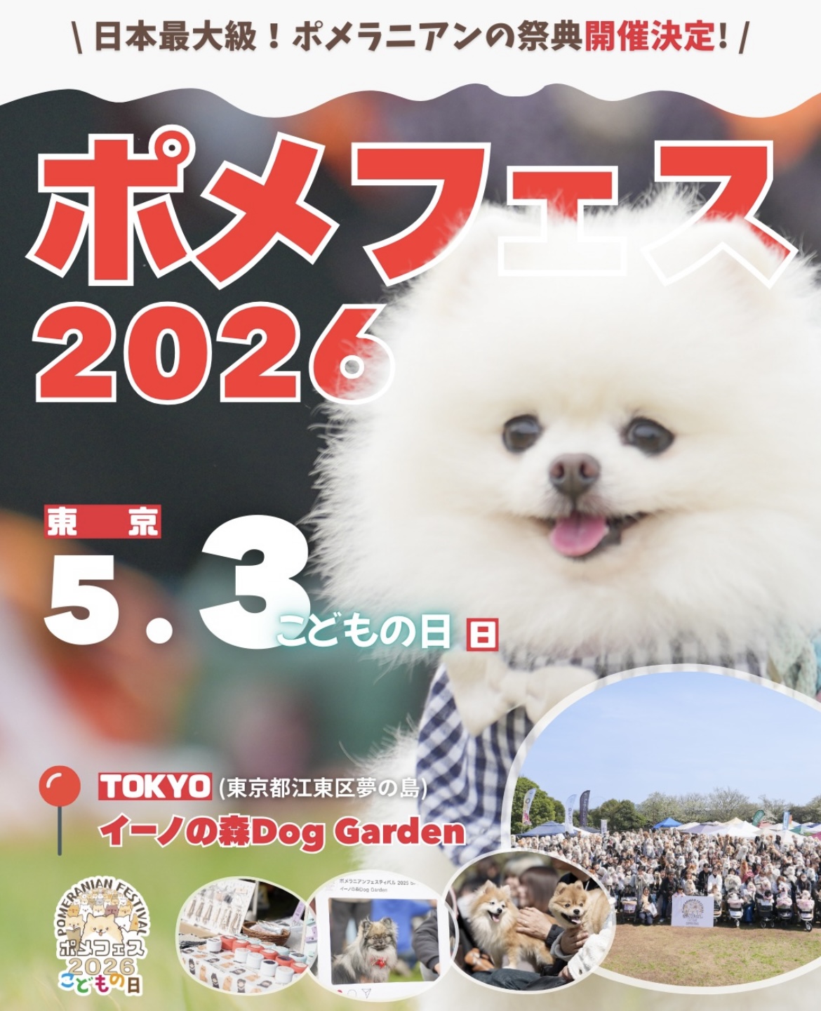 東京都】5/3 ポメラニアンフェスティバル 2026 - R&L