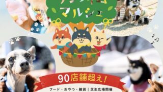 【埼玉県】6/6 ワンタイムマルシェ